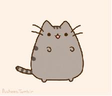 杭新景高速建德段总长多少公里,杭新景高速建德有几个服务区