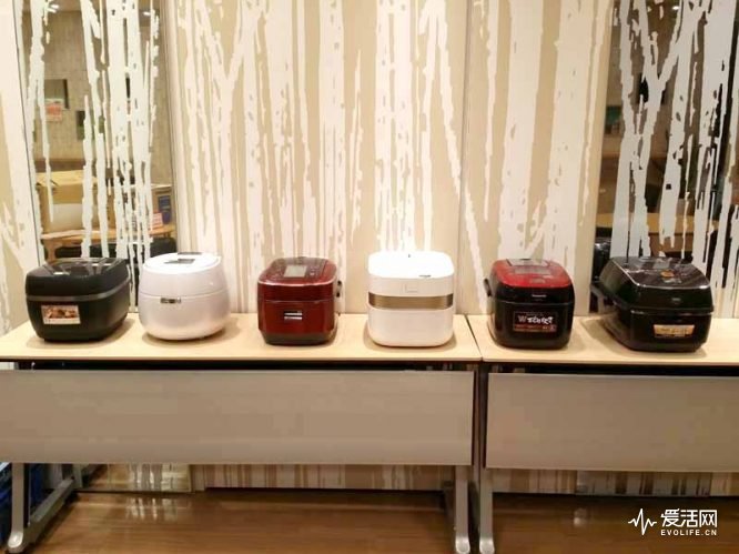 日本电饭煲测评排行,电饭煲哪个牌子的煮饭最好
