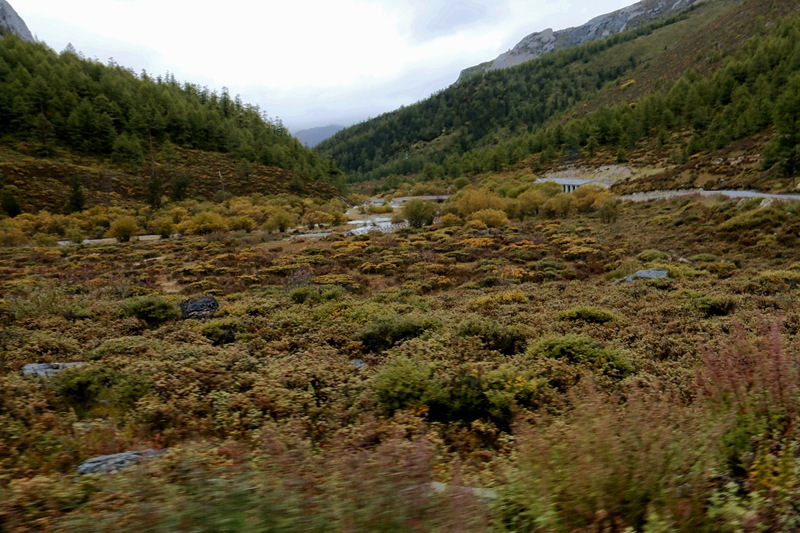 佩服自己，我在亚丁冒雨溯溪央迈勇到牛奶海
