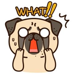 90后假冒女子7天骗11万,浙江嘉兴女子被骗2000万真假