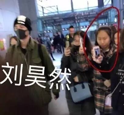 虹桥一姐追星一夜成名,虹桥一姐追星原因