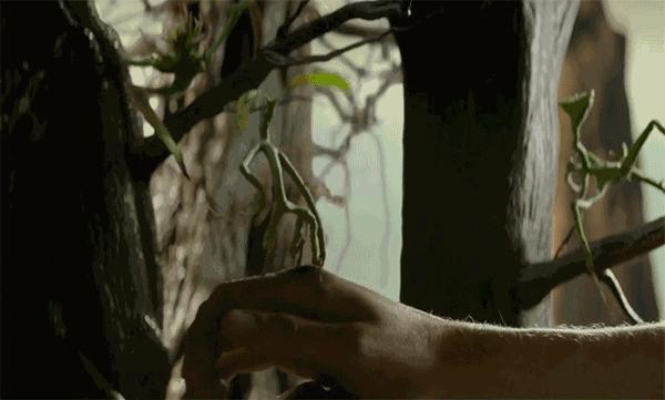 神奇动物在哪里的魔法强大点,神奇动物在哪里隐藏彩蛋