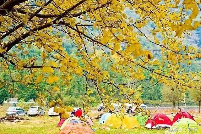 钟祥还能不能去,对不起我要离开了文章