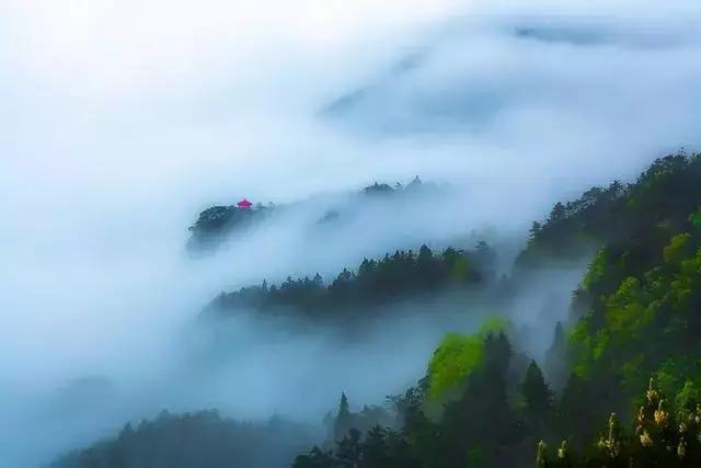 庐山情庐山恋,庐山恋背景