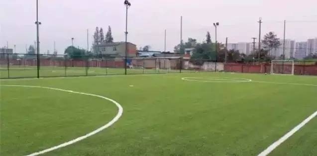 成都足球野球场推荐,成都免费足球场推荐