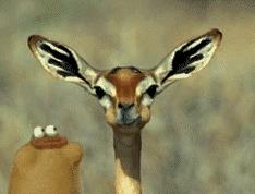 南京好玩的农家乐度假村排名,南京农家乐周末最值得一去的地方