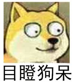 中超天津权健,权健老板最新消息