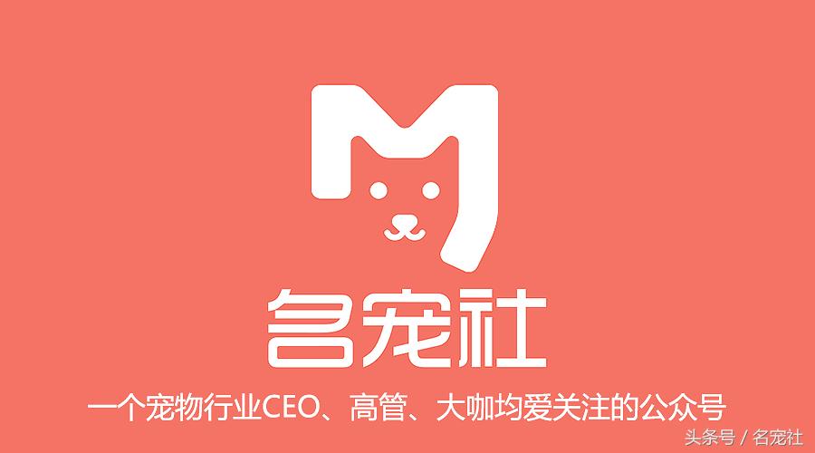 法国斗牛犬东北犬舍,法国斗牛犬犬舍视频