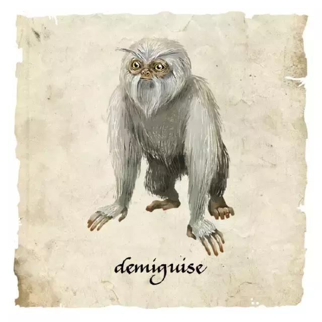 一些神奇的动物用英语怎么说,神奇动物在哪里英文词汇