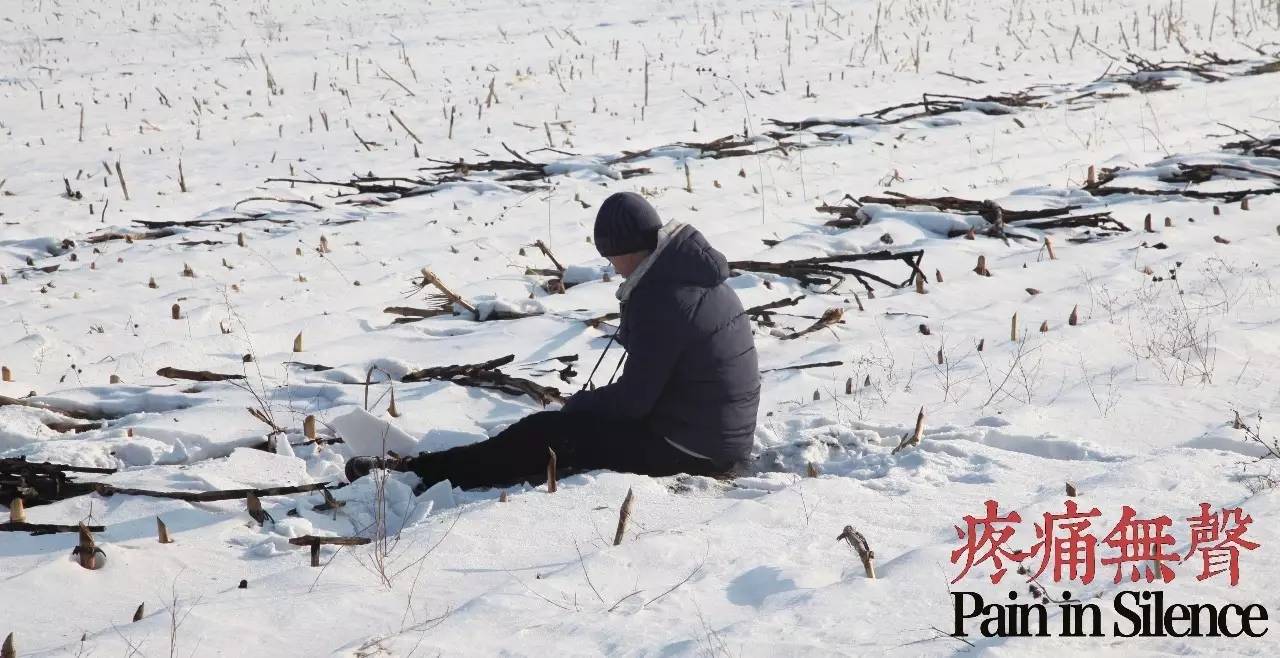 疼痛无声,疼痛无声震耳欲聋