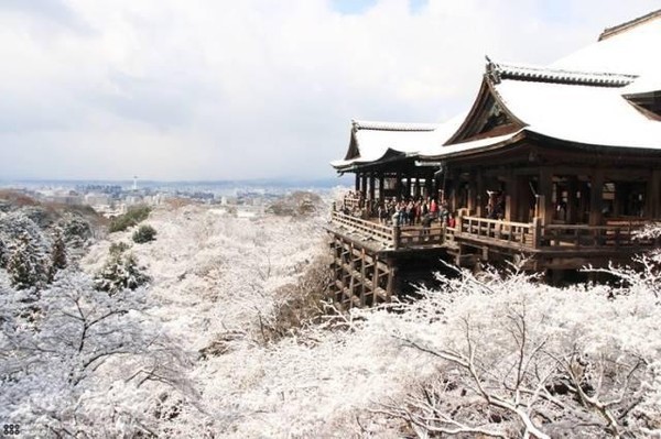 出国留学怎么换汇最划算,出国游玩怎么换钱