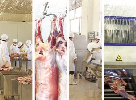 火锅季part2丨不用出门,也能涮着新鲜,吃出温暖