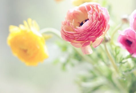 哭过之后要记得笑,哭过以后记得微笑