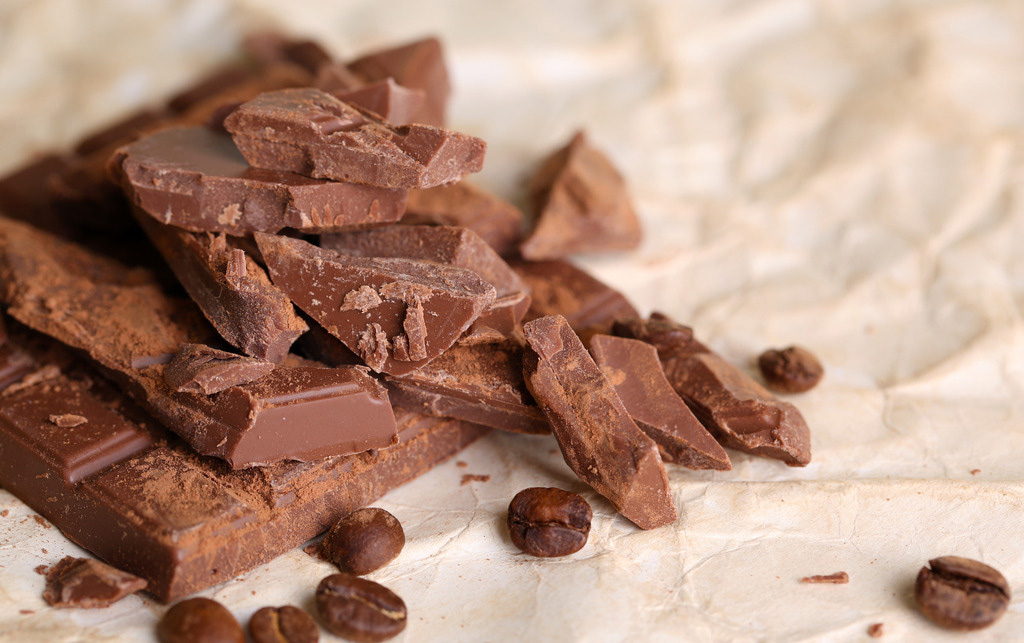 泰迪狗哪些食物不能吃,泰迪狗不可以吃的食物