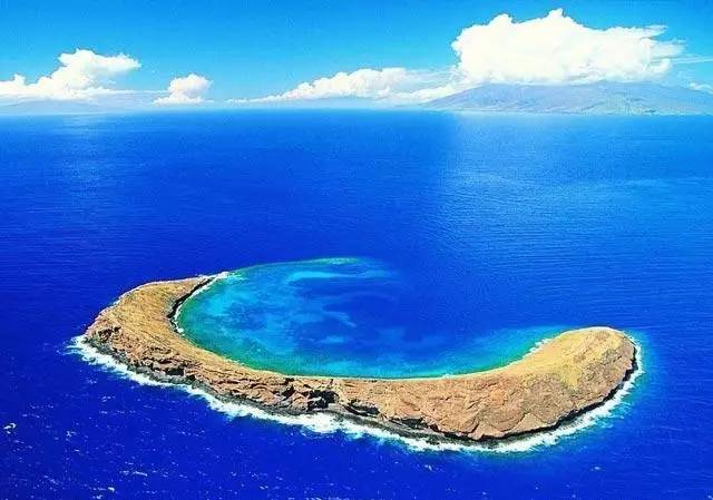 再不疯狂我们就老了下一句怎么说,完整版的再不疯狂就老了