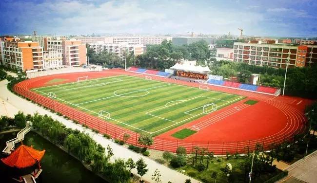 成都足球野球场推荐,成都免费足球场推荐