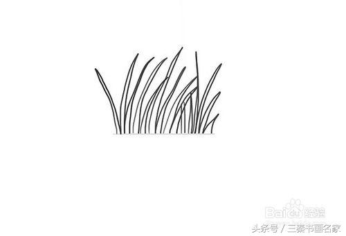 小草怎么画1000种画法,怎么样画小草又简单又好看