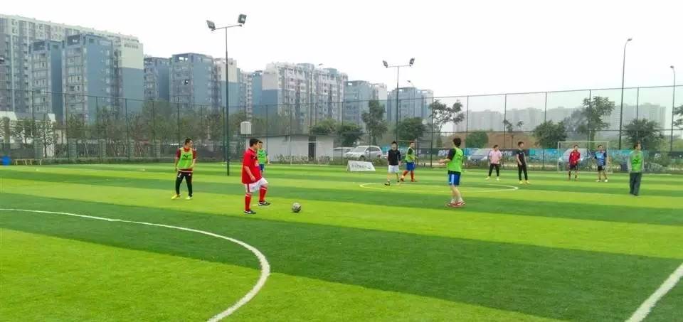 成都最爽看足球比赛的地方,成都凤凰山专业足球场看球攻略