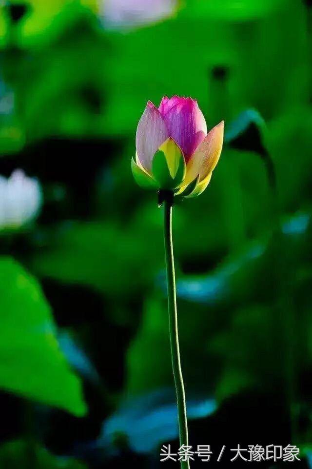 小说推荐韩思语,徐晟韩思语小说结局