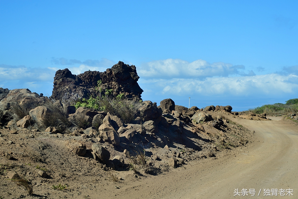 夏威夷｜风之魔力，火山星球