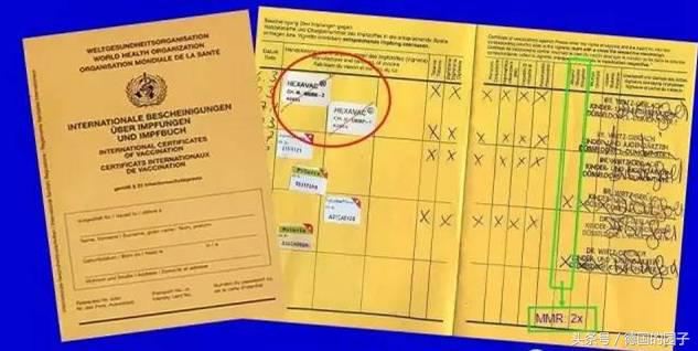 德国的真人真事,德国疫苗注射最新进展