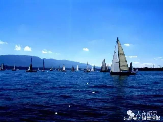 华为研发基地落户上海市青浦哪里,华为在上海青浦建研发基地