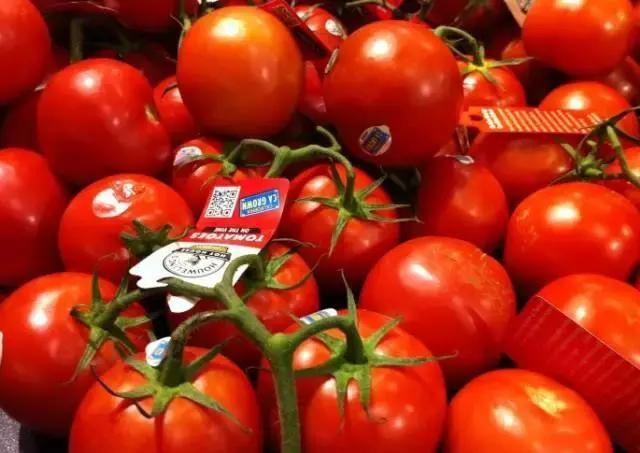 现代数学玄学在作祟？趣谈球拍的标准长度为什么是27英寸