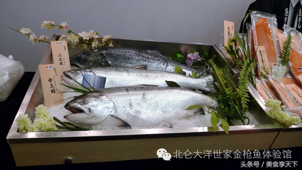 世界上顶级的鱼你认识几种,世界上你有可能没听过的十种鱼