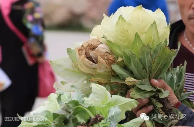 说走就走出去溜达,说走就走出去玩视频