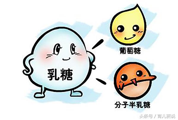 宝宝乳糖不耐拉肚子怎么办,喝奶拉肚子是乳糖不耐受吗