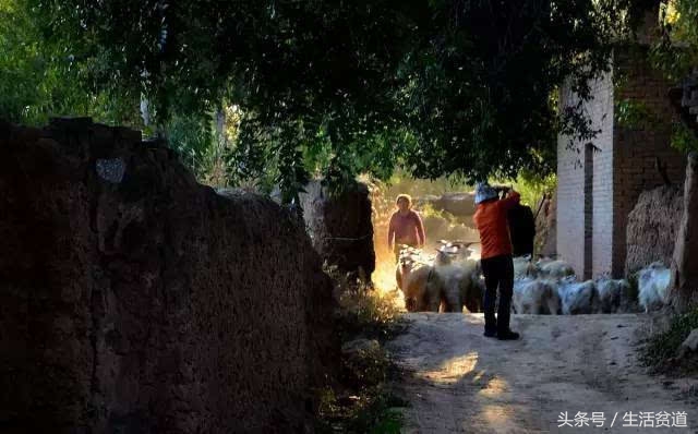 「菏泽话」集结啦！你确定真的会吗？