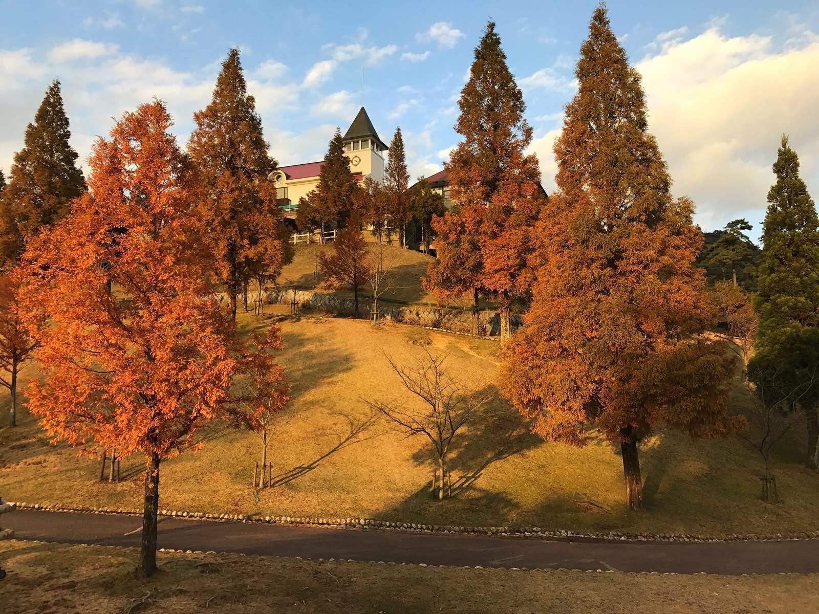日本关西温泉圣地,日本关西房间内温泉