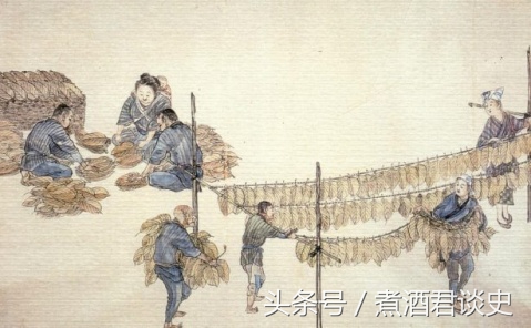 草烟是多久发明出来的,草烟是什么做的