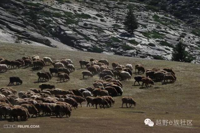 开着房车旅行说走就走,说走就走出去玩视频