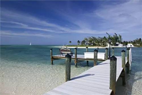 厉害了，我的“双十二”！连这些也能网上卖？！