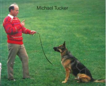 养狗之前请认真把这篇文章看完!