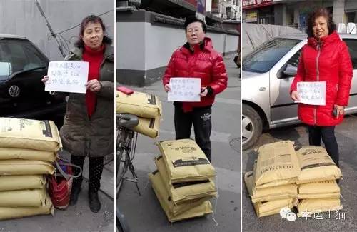 带喂了2年的流浪猫回家过年,公园里的流浪猫吃饱了
