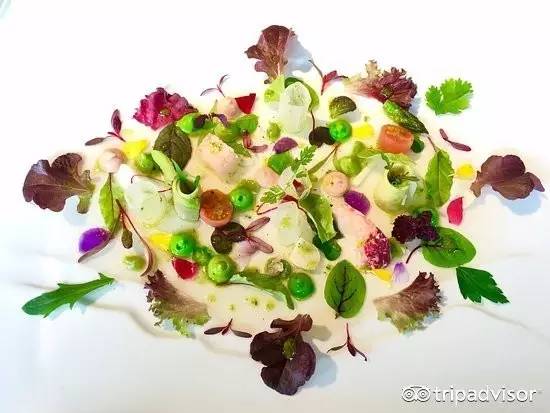 世界旅行者排行榜前十名,全球十大旅行者排名