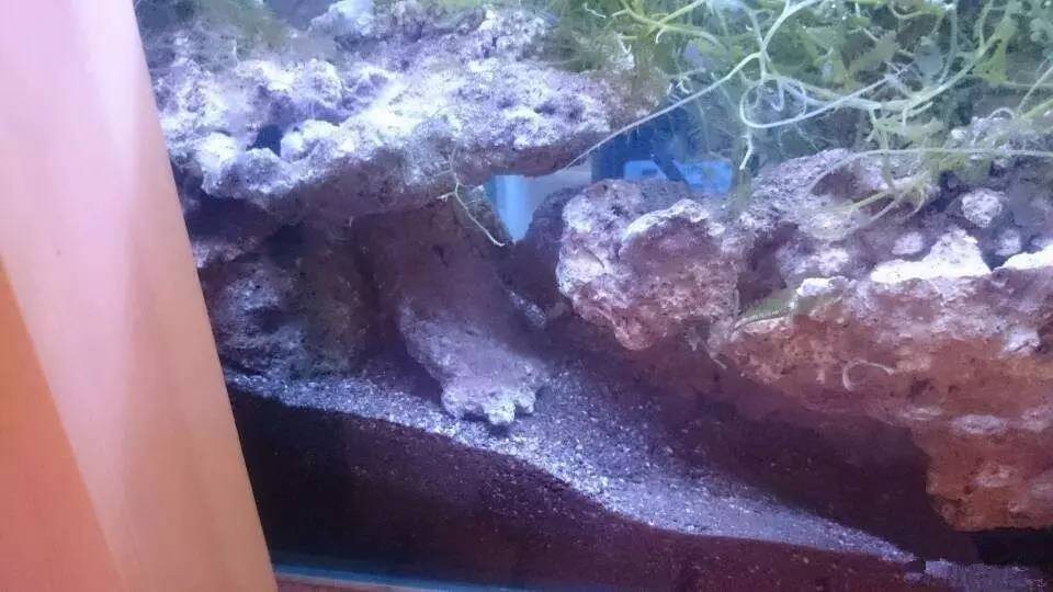 简单粗暴开啤酒,简单开个缸