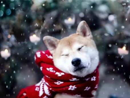 冬天这么穿简直美爆了,冬天这样穿保暖又出众你学会了吗