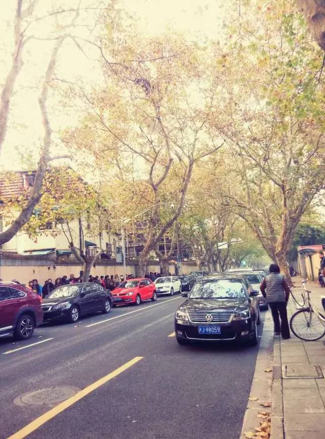上海落叶不扫景观道,上海秋天不扫落叶的街道