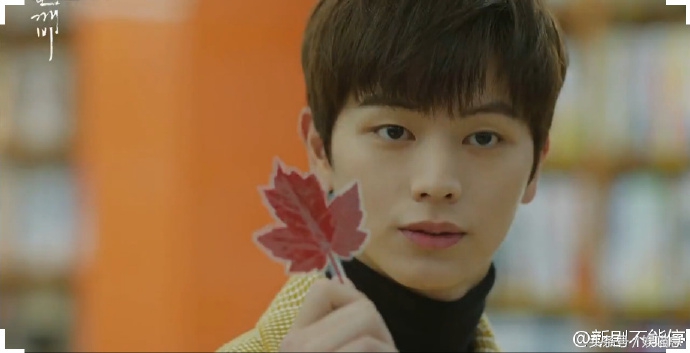 鬼怪李栋旭金高银炸鸡,鬼怪李栋旭和刘仁娜