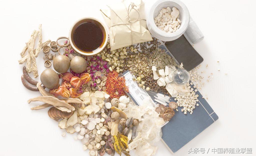 治鸡病一般用什么中药,鸡病防治鸡药常用组方