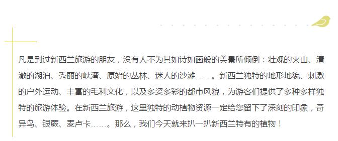 介绍新西兰特色的视频,新西兰植物