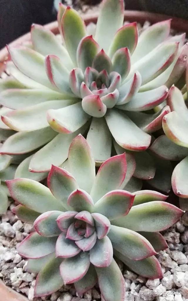 美好的时光带来快乐,美好的时光伴随着我