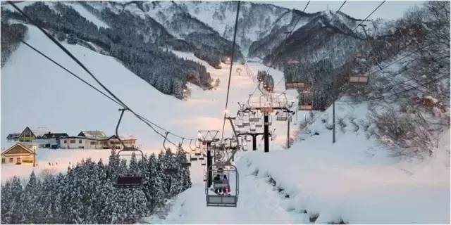 日元跌了,日元跌到多少适合入手