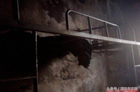 鬼故事长篇完整版学校,鬼故事逃亡记