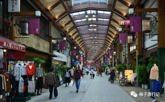 樱花旅行记全集视频,樱花季日本14天旅游攻略