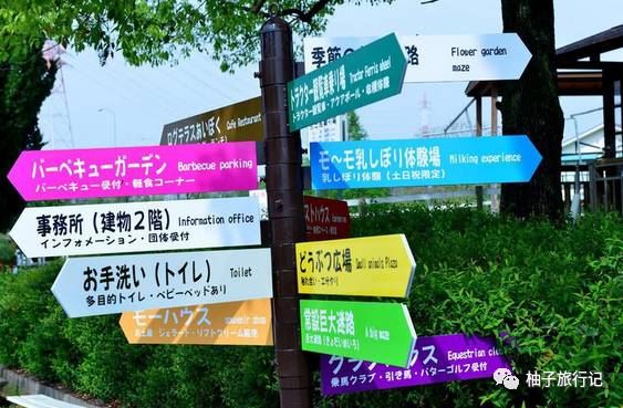 樱花旅行记全集视频,日本樱花7日游攻略大全