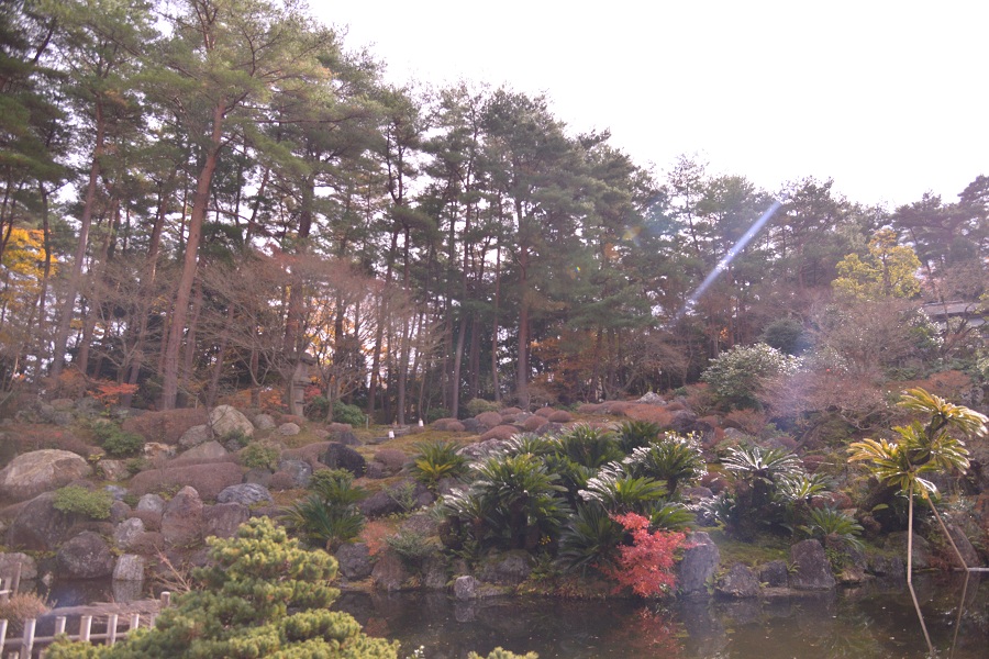 阿含桐山杯视频,阿含桐杯决赛视频完整版